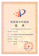 5. 2013年 陕西省专利奖 一等奖：基于视频差异分析的输电线路导地线覆冰厚度测量方法